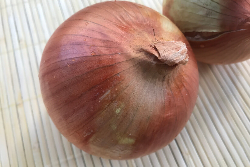 野菜の切れ端を使った草木染め体験